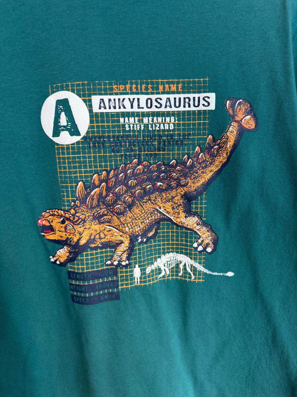 Fatface Teal Ankylosaurus Long-Sleeved Top Age 8-9 Years