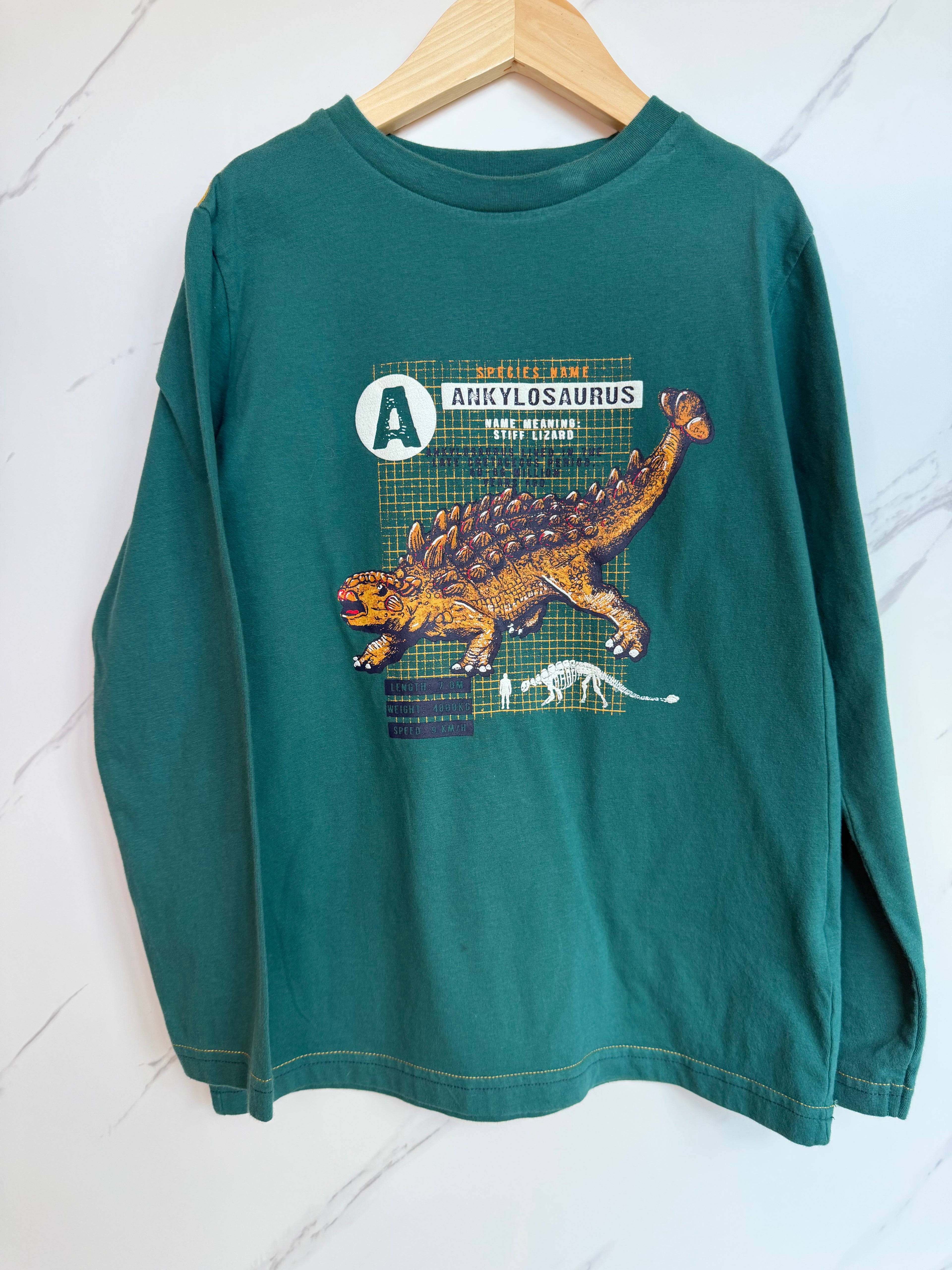 Fatface Teal Ankylosaurus Long-Sleeved Top Age 8-9 Years