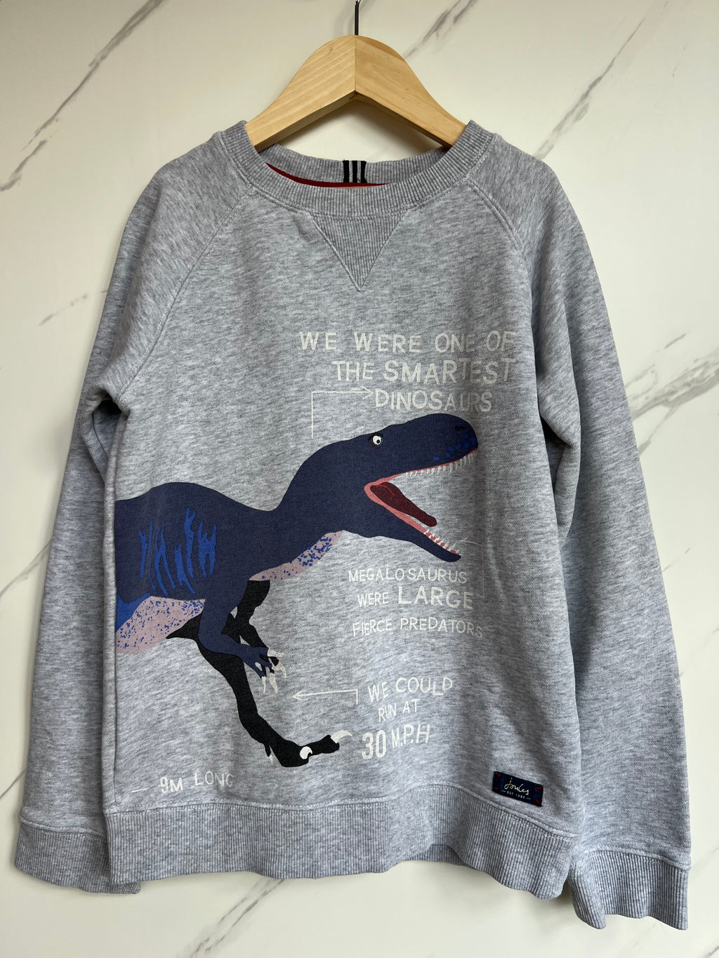 Joules Grey T-Rex Info Sweatshirt Age 10 Years