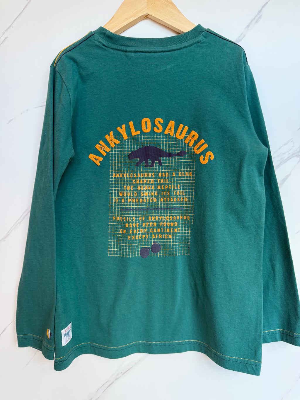 Fatface Teal Ankylosaurus Long-Sleeved Top Age 8-9 Years