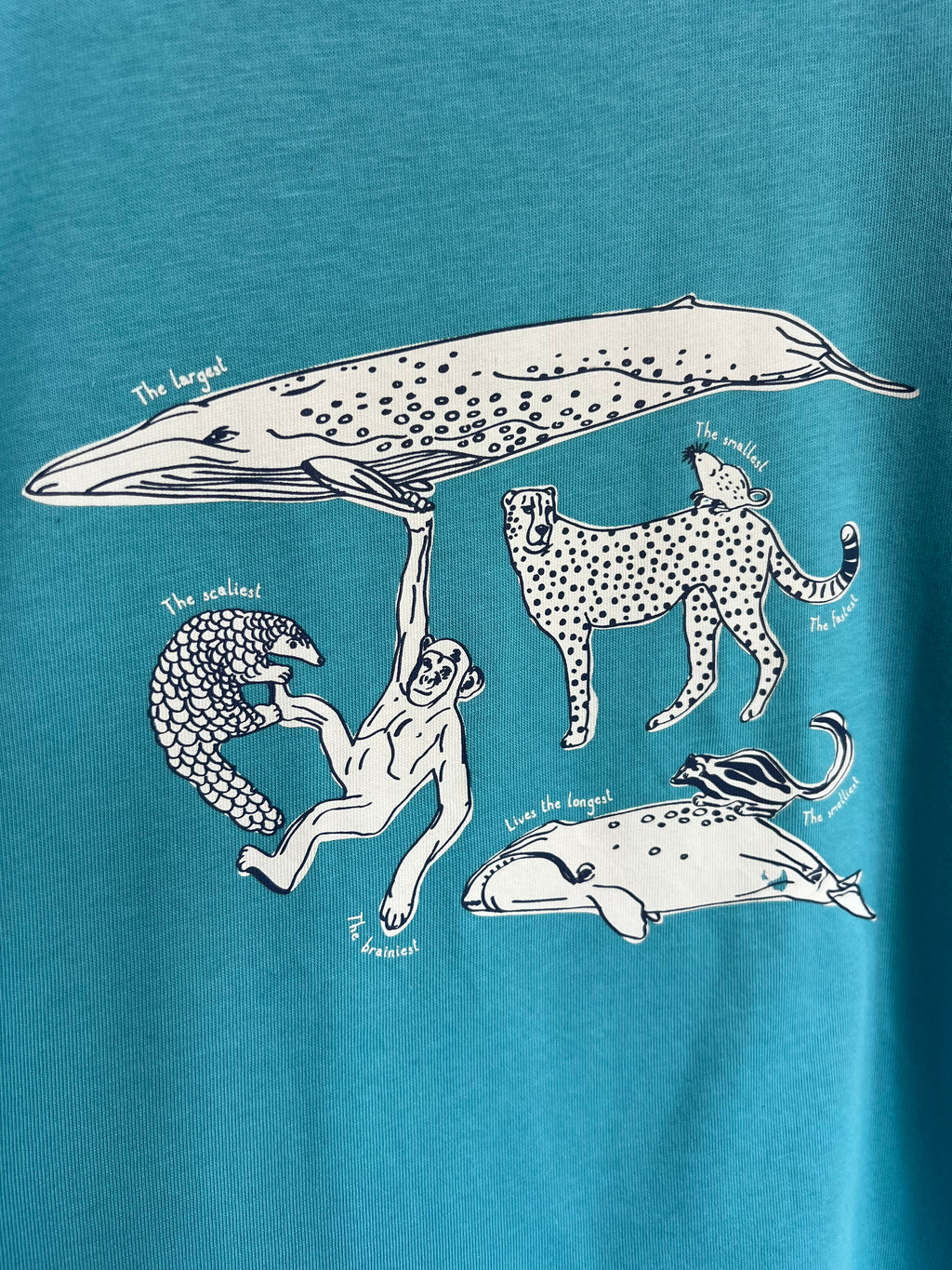 Kite Turquoise Animal Long-Sleeved Top Age 9 Years