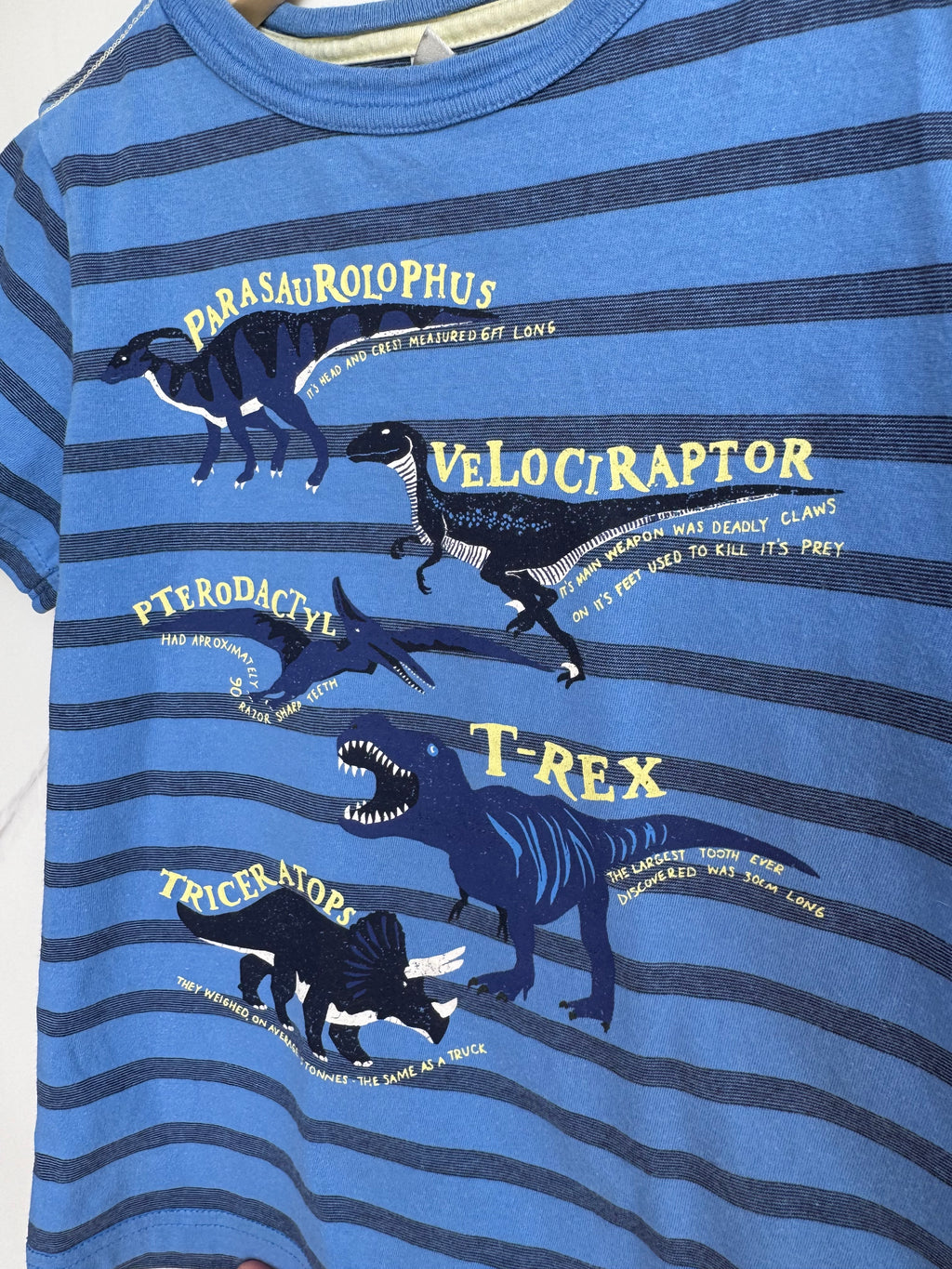 Joules Blue Dinosaur Facts  T-Shirt Age 6 Years