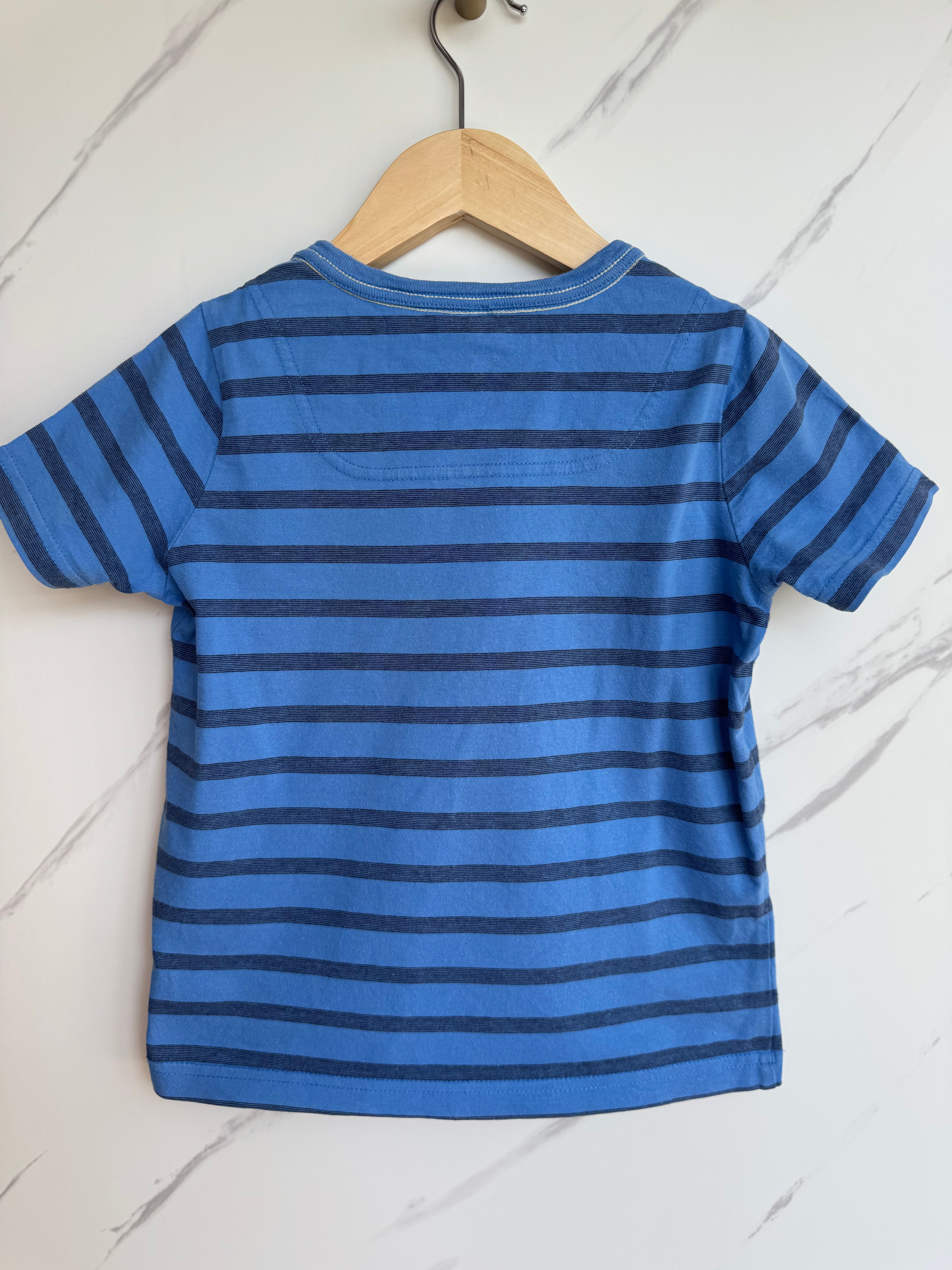 Joules Blue Dinosaur Facts  T-Shirt Age 6 Years