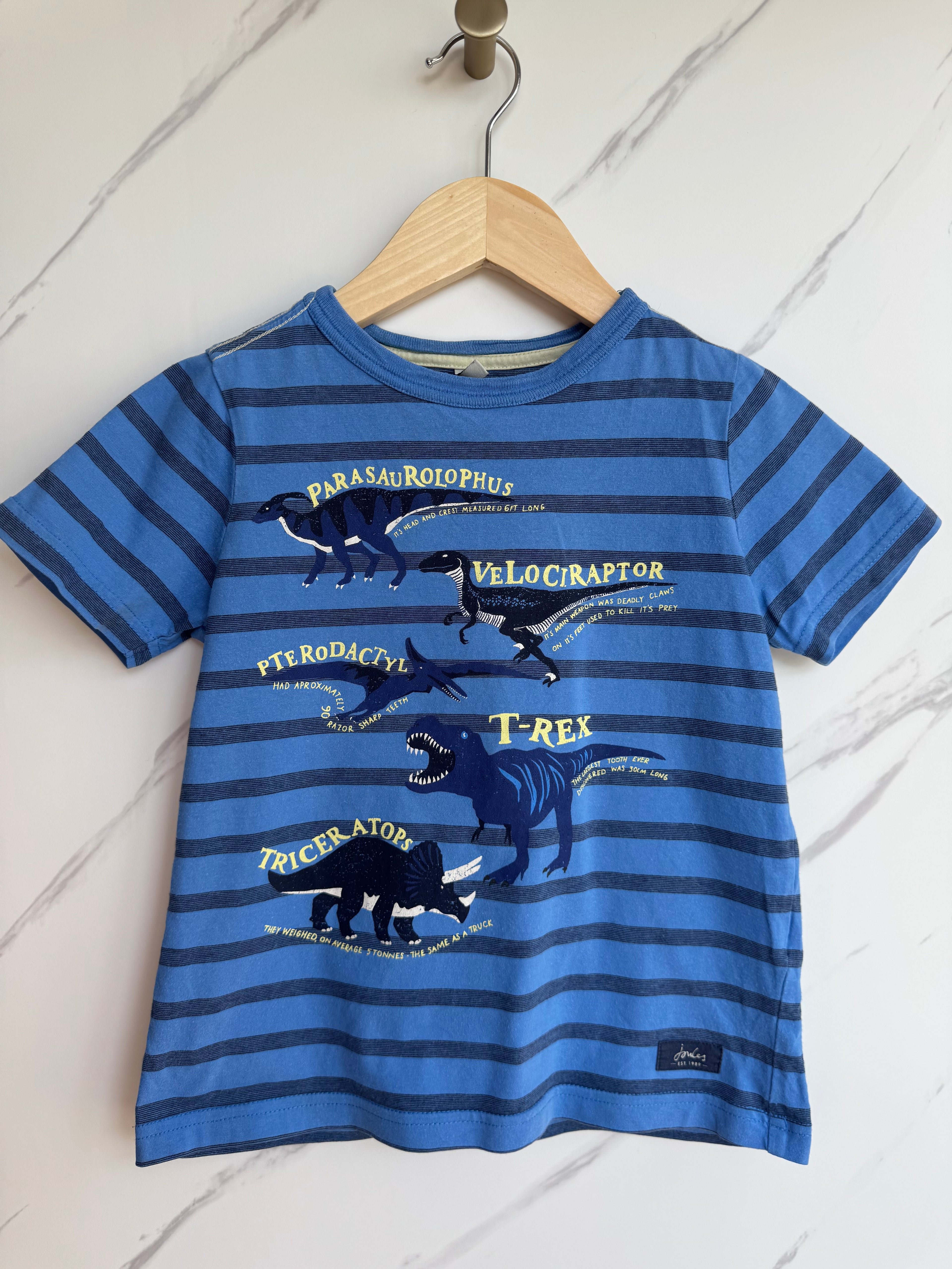 Joules Blue Dinosaur Facts  T-Shirt Age 6 Years